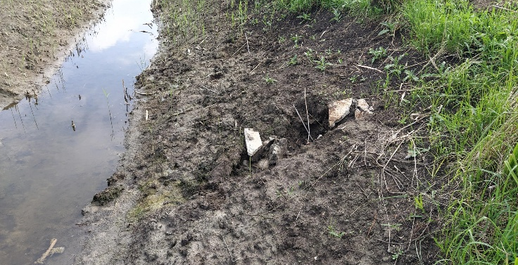 defekta drenazas izteka Praktisks ceļvedis katram zemes saimniekam. Kā kopt drenāžas sistēmu un nekļūt par “purva” īpašnieku?
