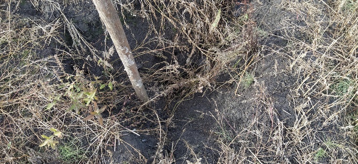 piltuvveida izskalojumu piemeri 1 Praktisks ceļvedis katram zemes saimniekam. Kā kopt drenāžas sistēmu un nekļūt par “purva” īpašnieku?