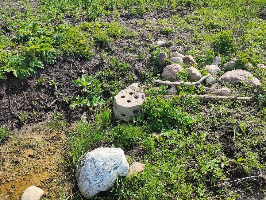virszemes udens uztverejs Praktisks ceļvedis katram zemes saimniekam. Kā kopt drenāžas sistēmu un nekļūt par “purva” īpašnieku?